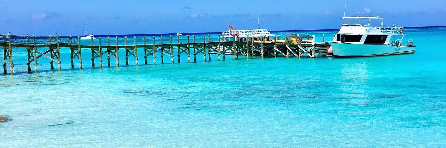 Aude de Vorges banner