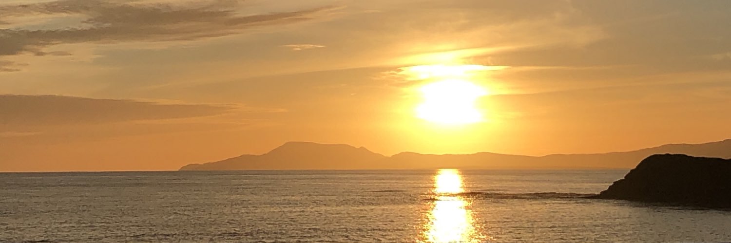 flannellove's profile banner image