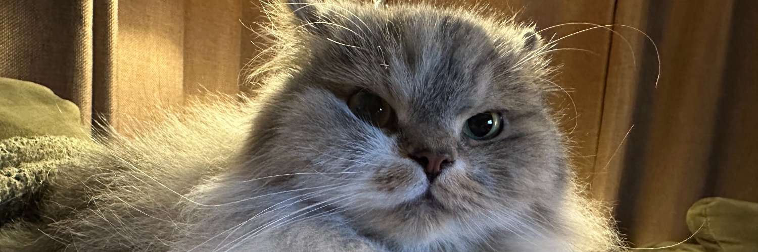 Jmg_1999's profile banner image