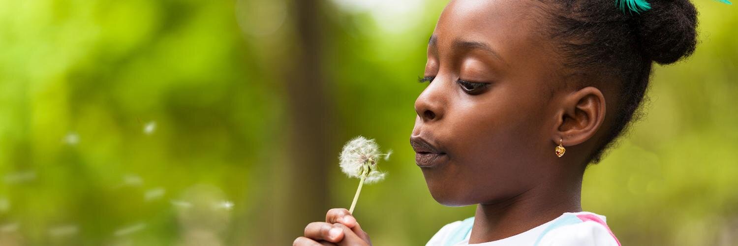 The Coalition banner