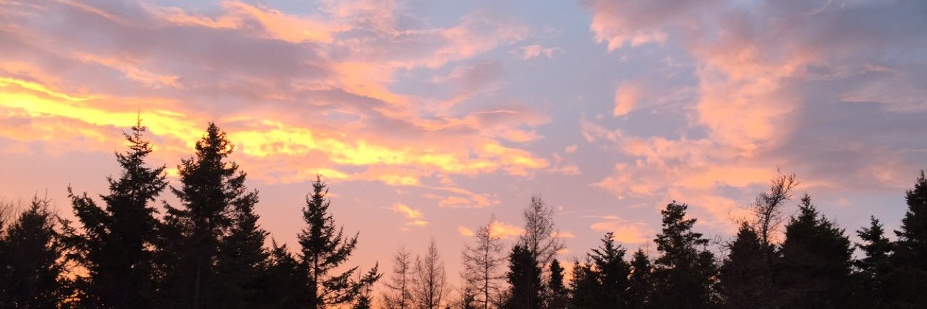 Jforsgren16's profile banner image