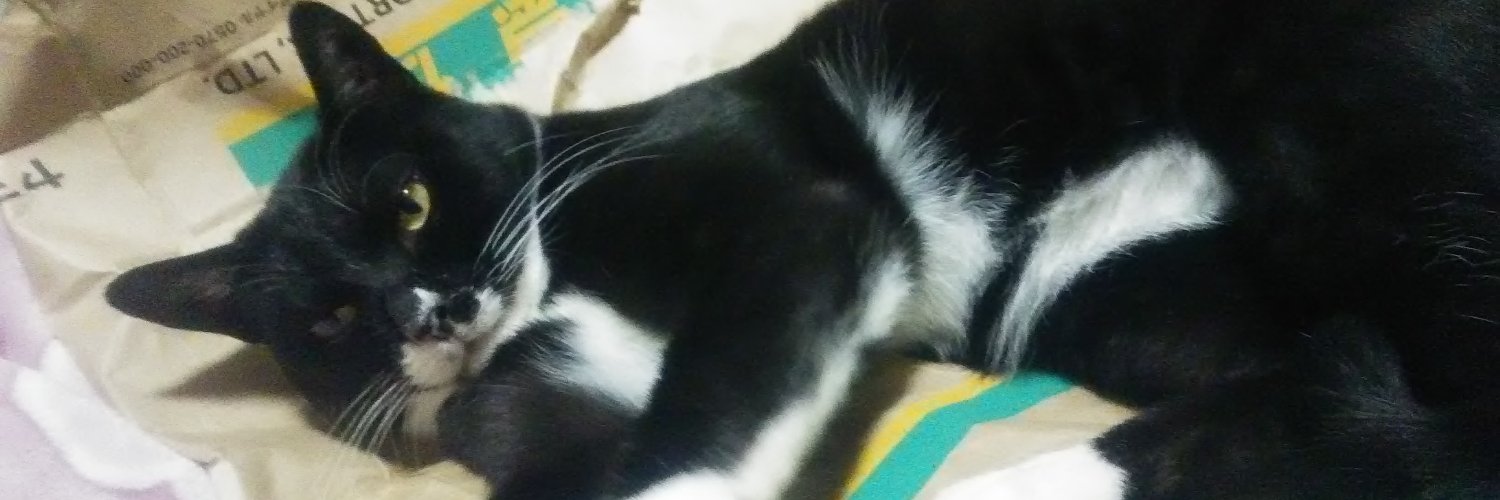nyannko1981's profile banner image