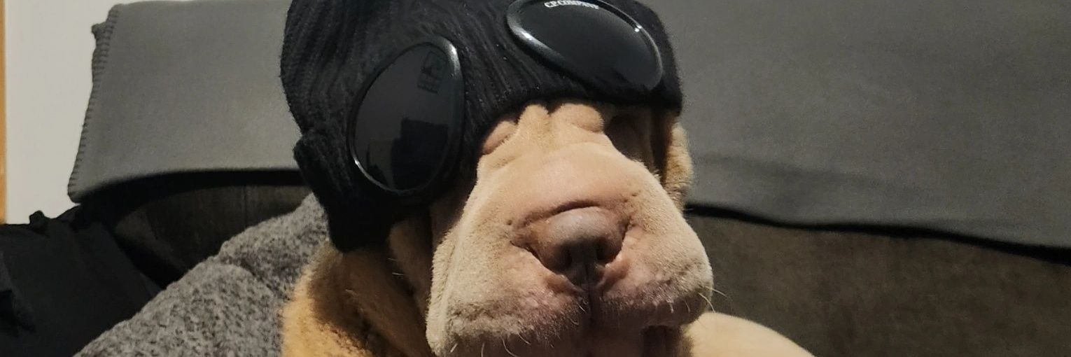 Luke Southern banner