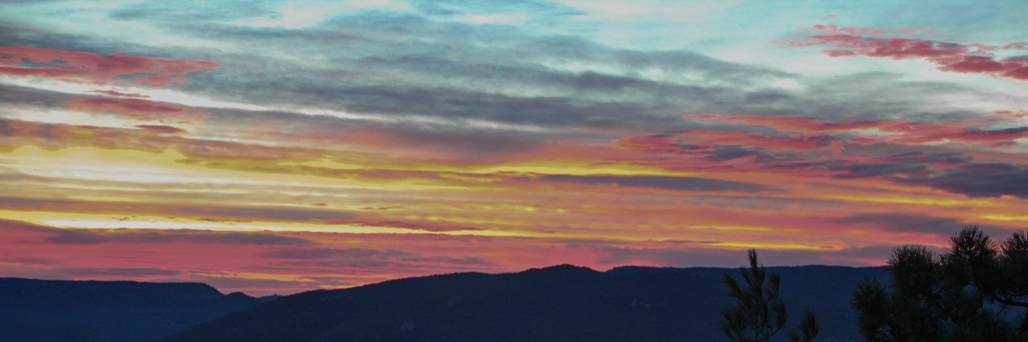 Nuria_Grau's profile banner image