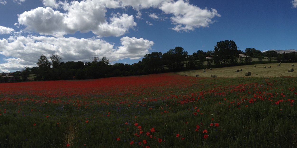 rius_mireia's profile banner image
