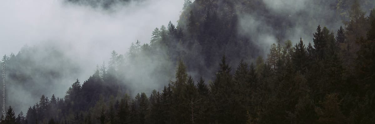 zimmyaf's profile banner image