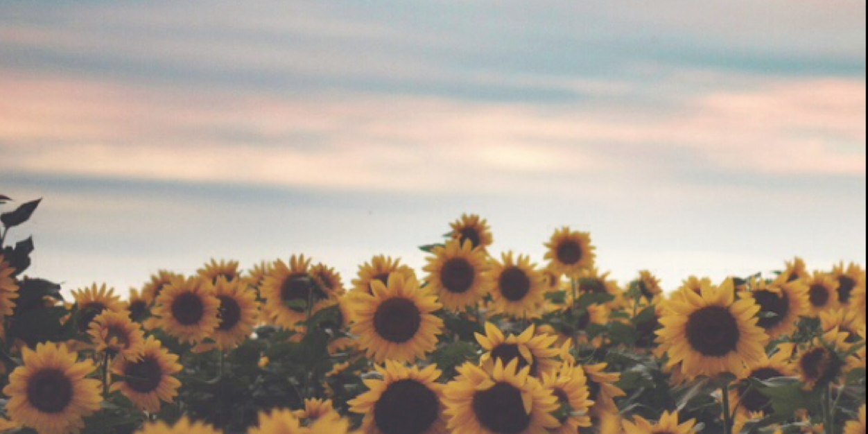 may banner