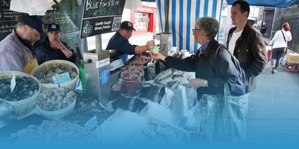 Gannet Fishmongers banner