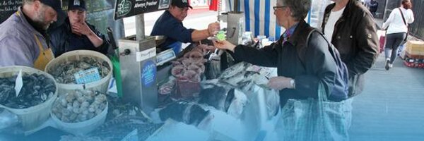 GannetFish Profile Banner