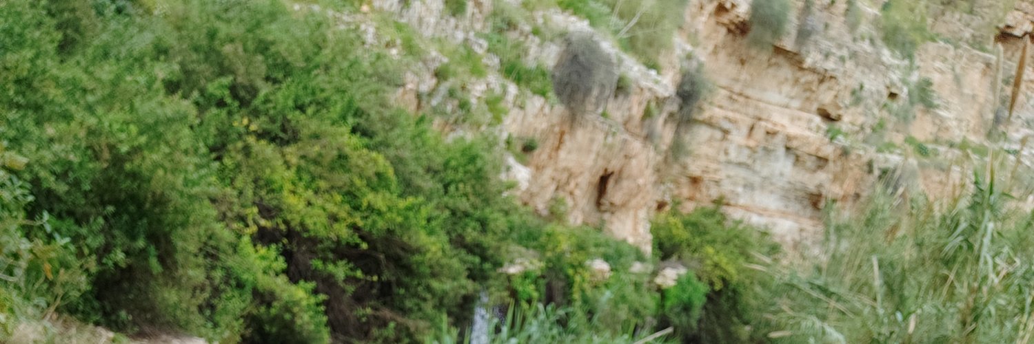 michalgoll's profile banner image