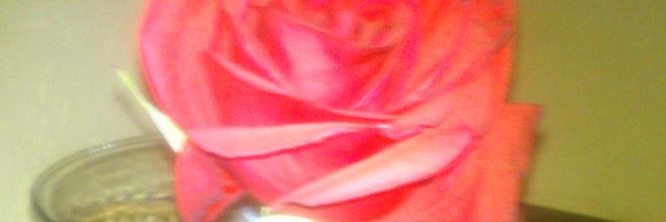 Crlnln's profile banner image