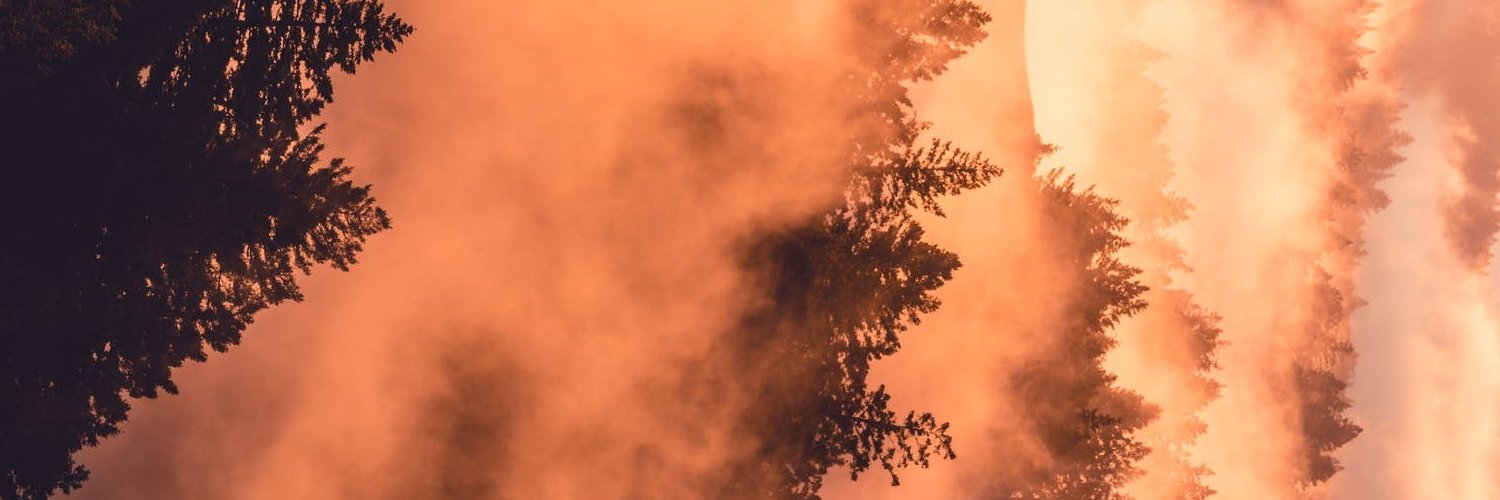 LorisPJF's profile banner image