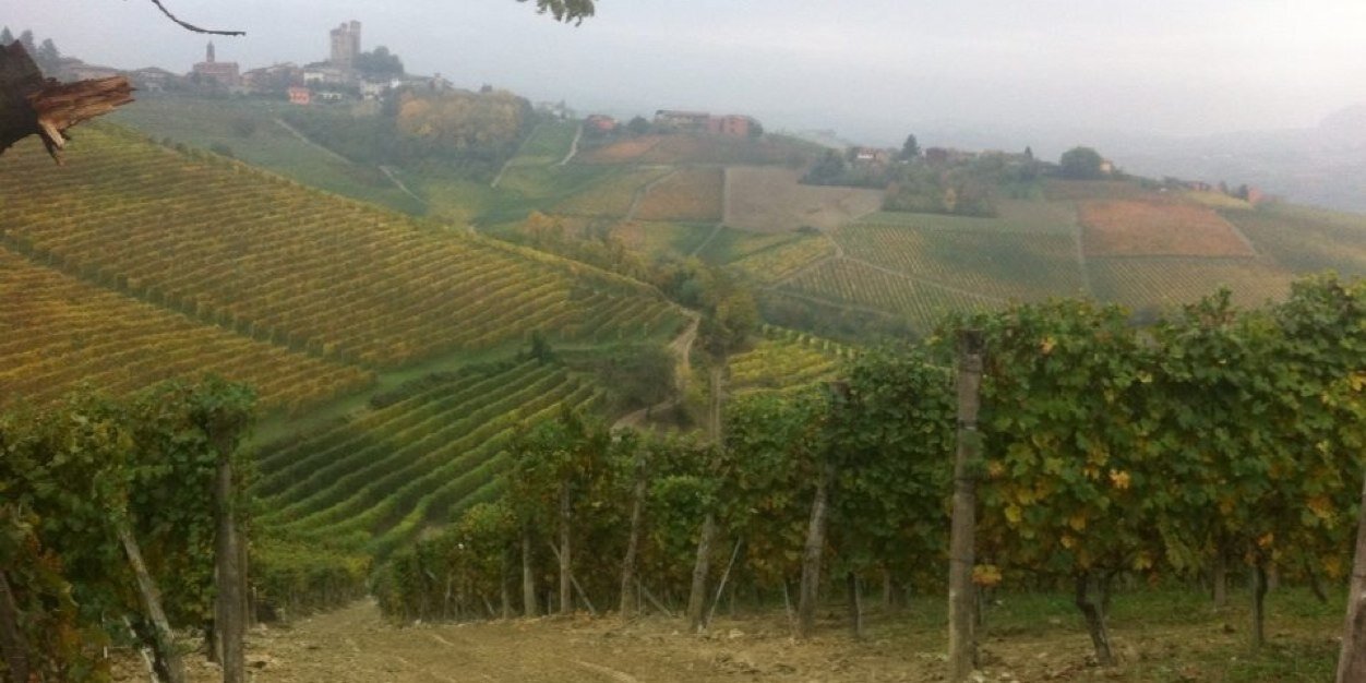 thewinecloud's profile banner image