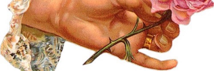 kylemuraca's profile banner image