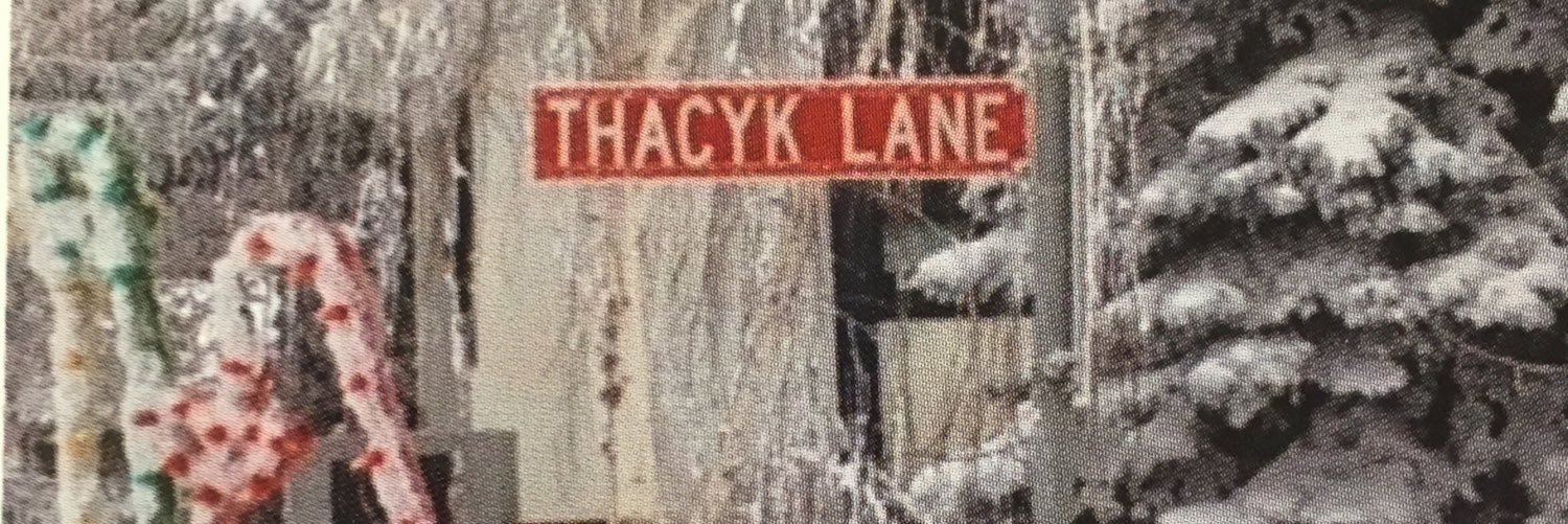 LThacyk's profile banner image