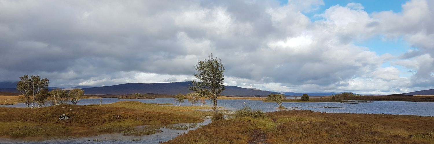 martyn notman banner