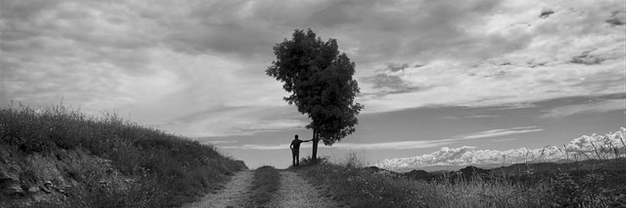 kalxenviable's profile banner image