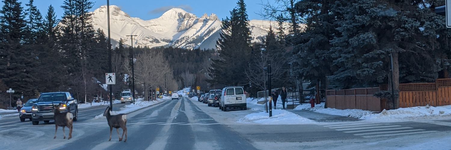 banffcanmore's profile banner image