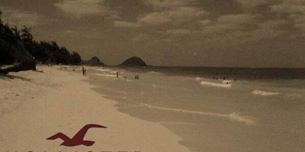 AlwaysHollister's profile banner image