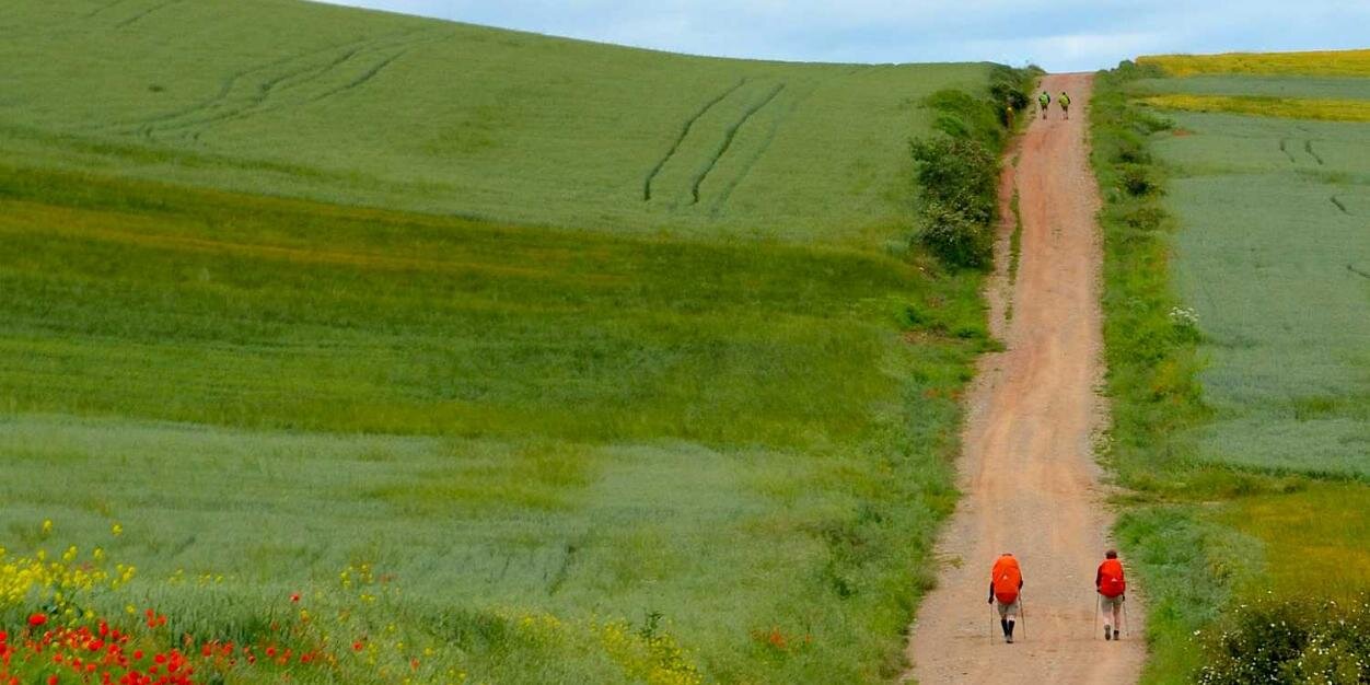 WalkinSpain's profile banner image