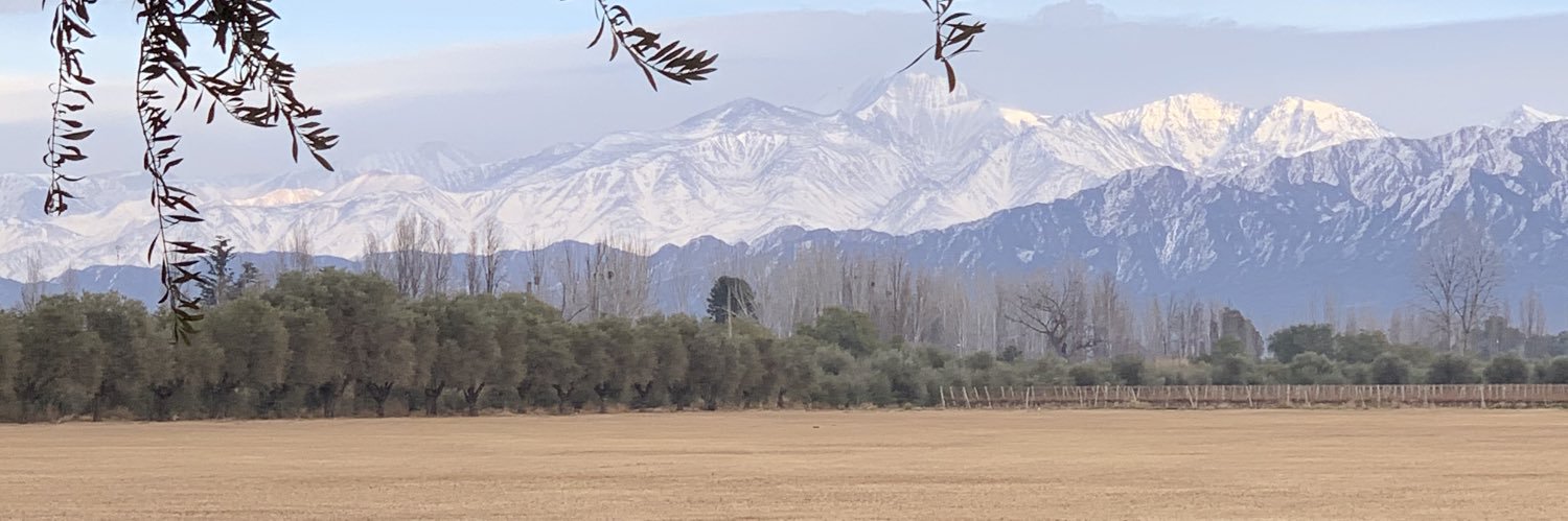 emisallei's profile banner image