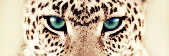 marmadridh's profile banner image