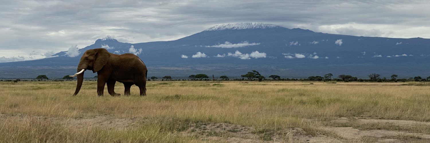 jackinalumira's profile banner image