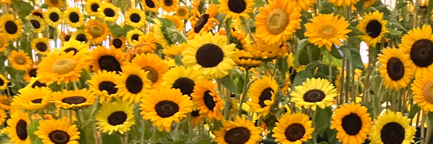 qbeafea's profile banner image