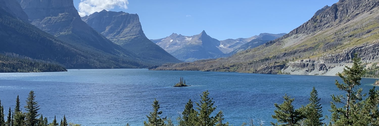 Dr. Maegen Rochner banner