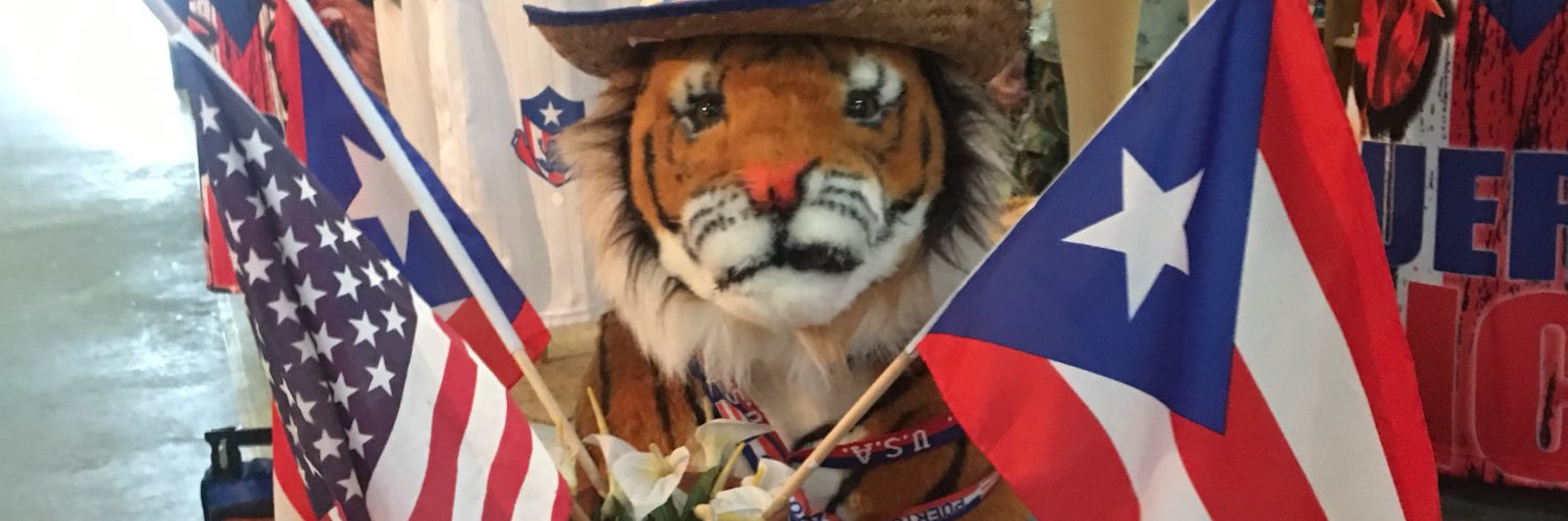 Tinab22uk's profile banner image