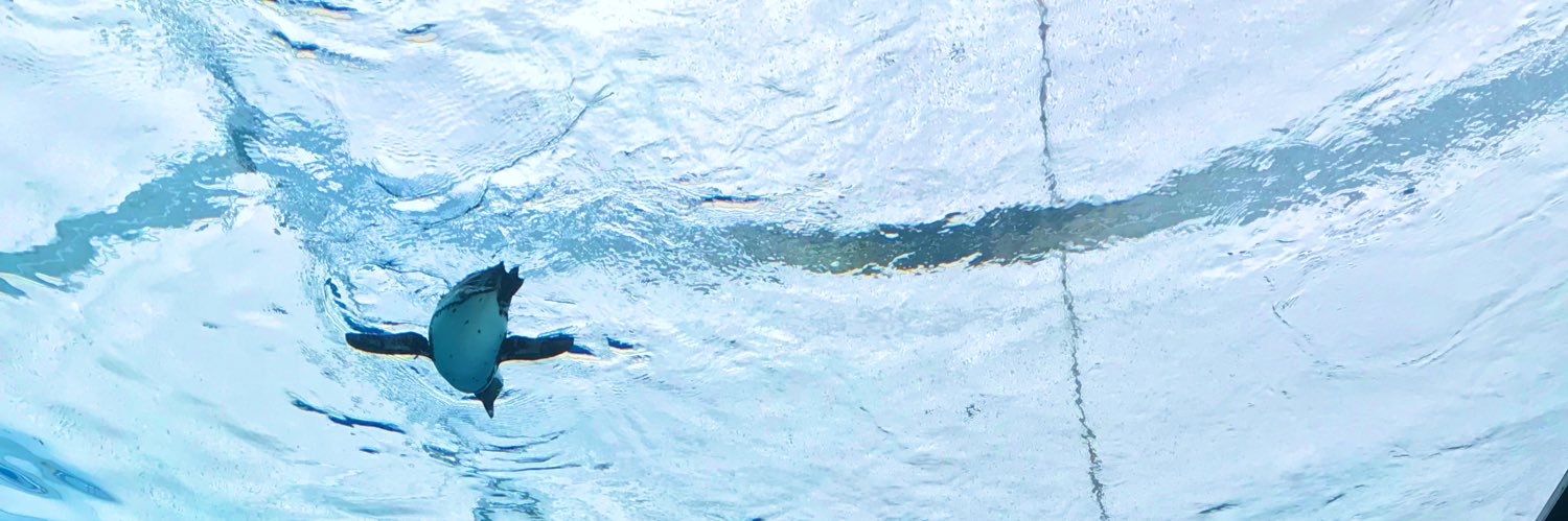 takimasu's profile banner image