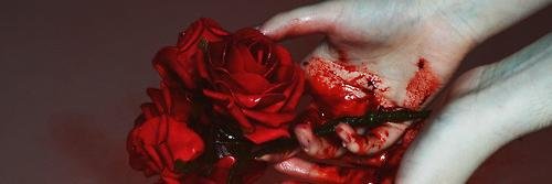 Fuck_Biersack's profile banner image