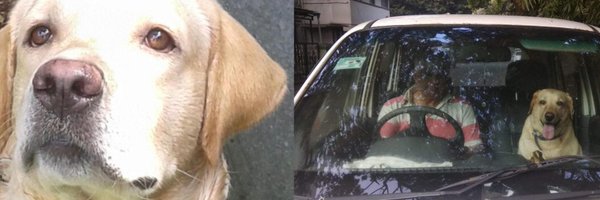 duramount Profile Banner