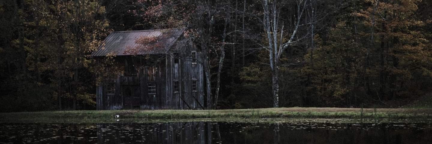 AngelaDSunder's profile banner image