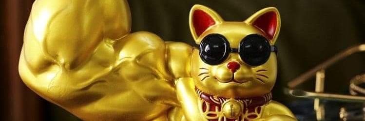 tachobshow's profile banner image