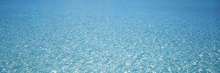 WIDellsDeal's profile banner image
