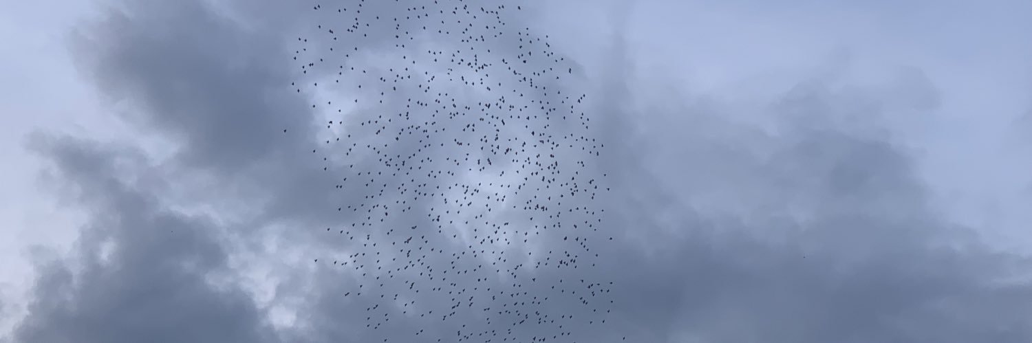 cwseig's profile banner image