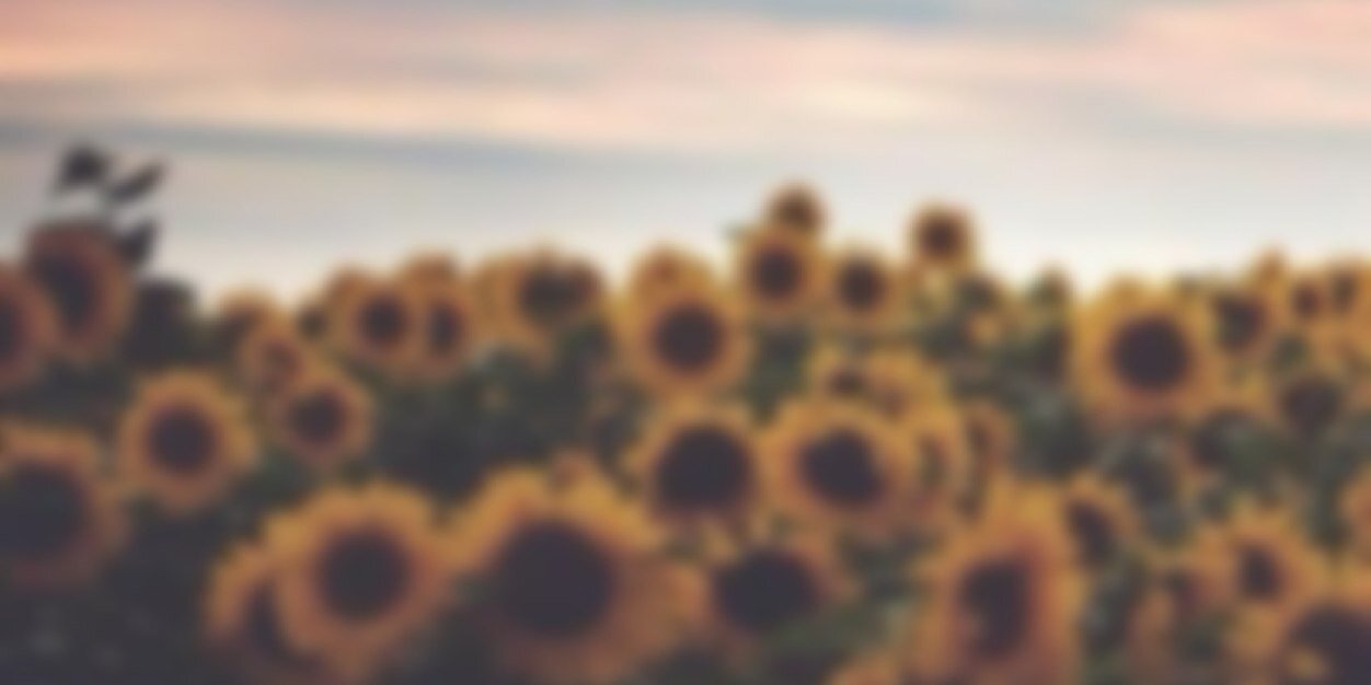 ___Frower's profile banner image