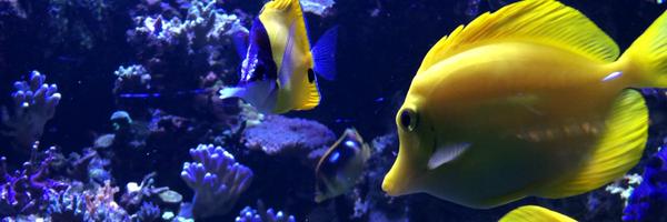 Thomas_ONZON Profile Banner