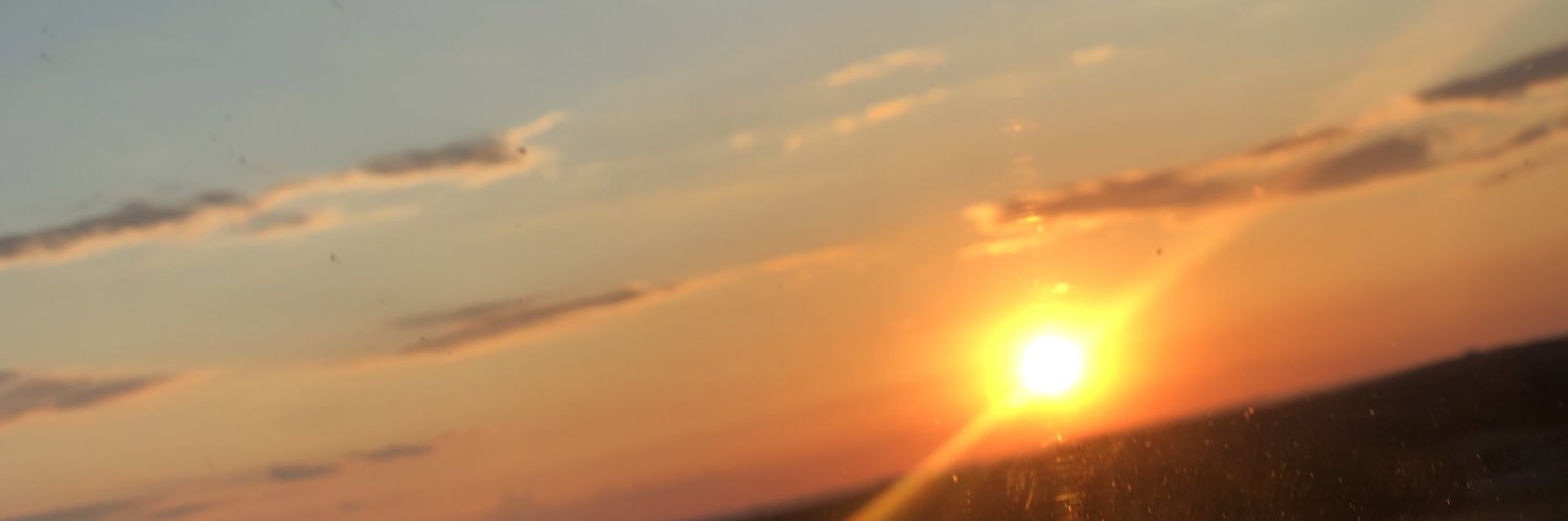 haleyyd4's profile banner image