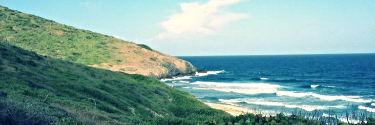 Fast RT, #NotAnRobot banner