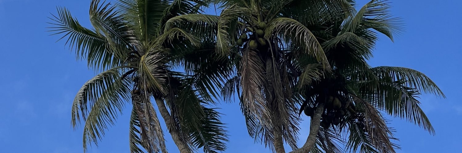 kulaeally's profile banner image