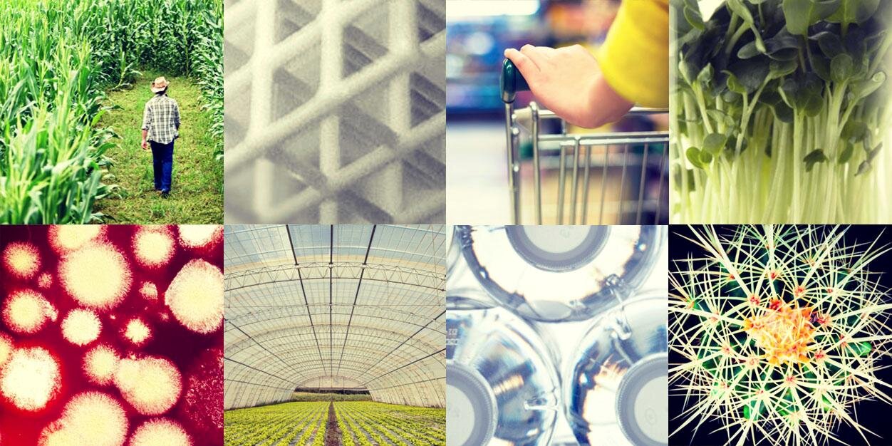 FutureFood2050's profile banner image