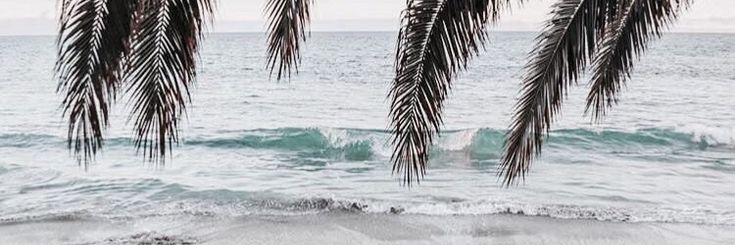 micalvrez's profile banner image