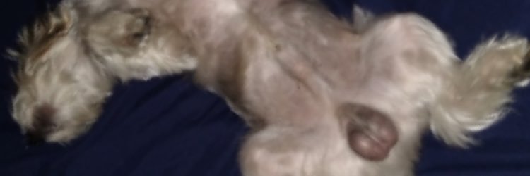 YourBoyElroy's profile banner image