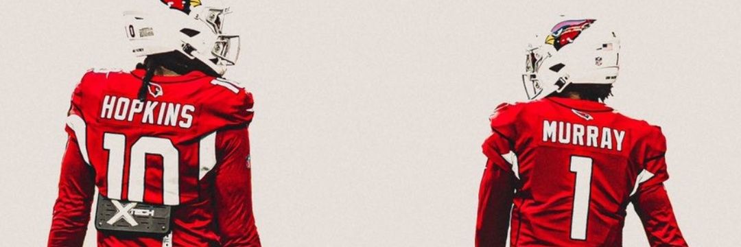 Tapiapedrego's profile banner image