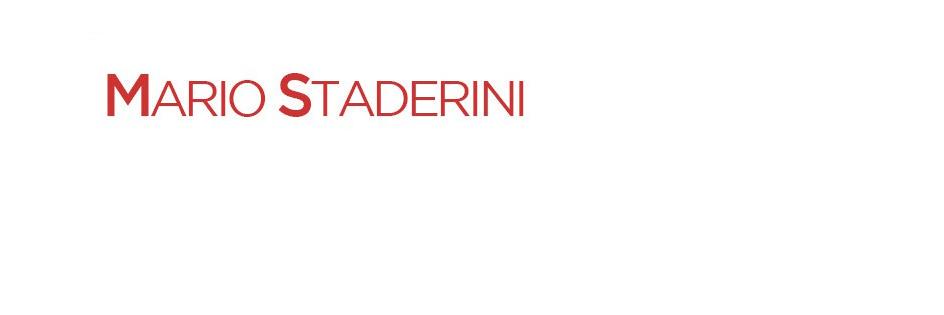 Mario Staderini banner