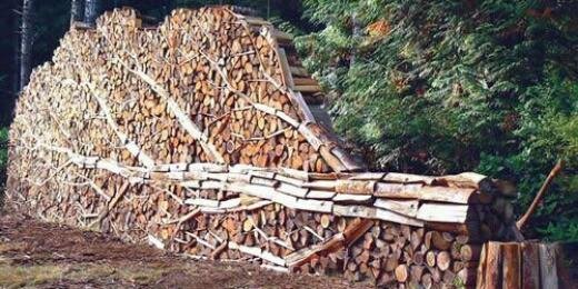 ArborforceLtd's profile banner image