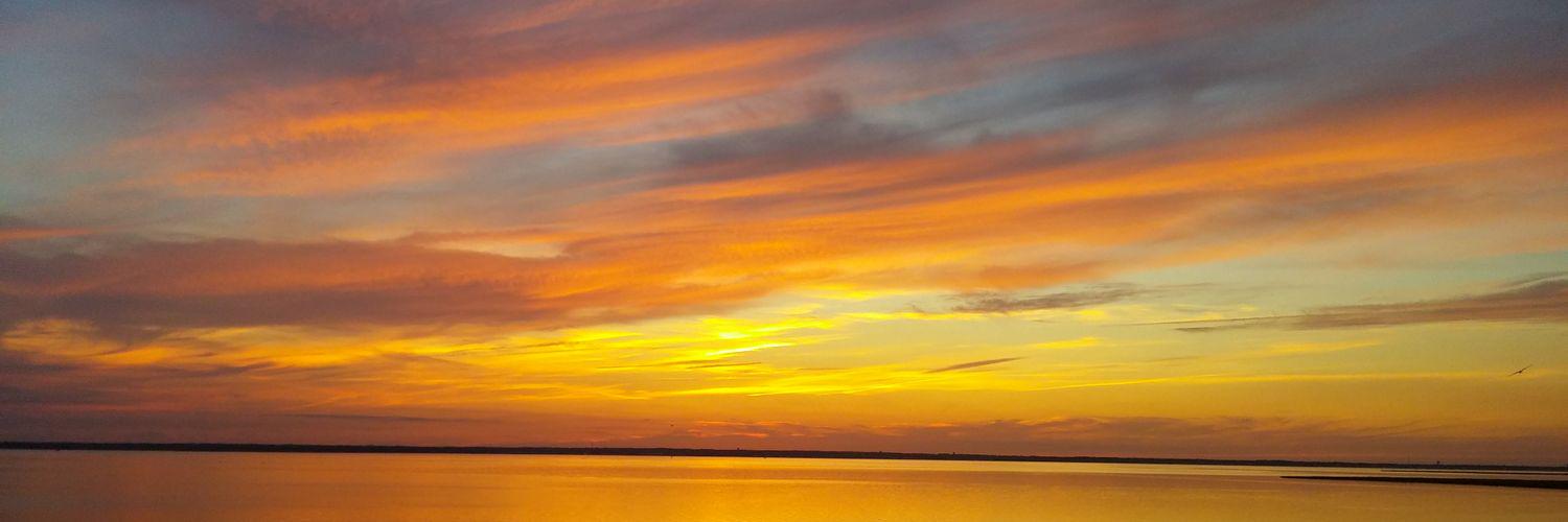 MichelleSinNJ's profile banner image