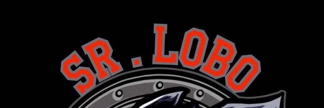 SrLoboESCorp's profile banner image